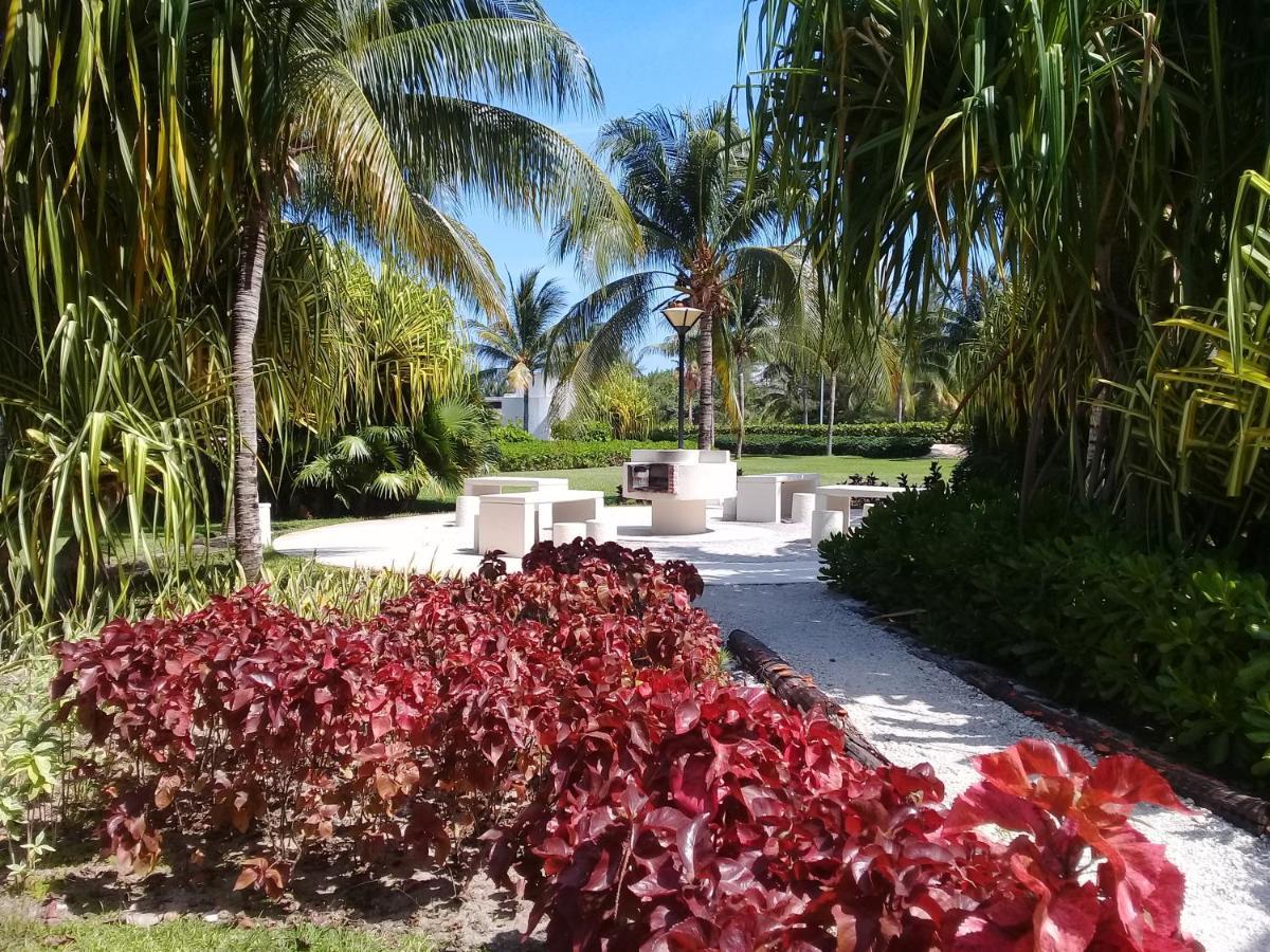 Swim The Caribbean & Work With A View Lägenhet Cancún Exteriör bild