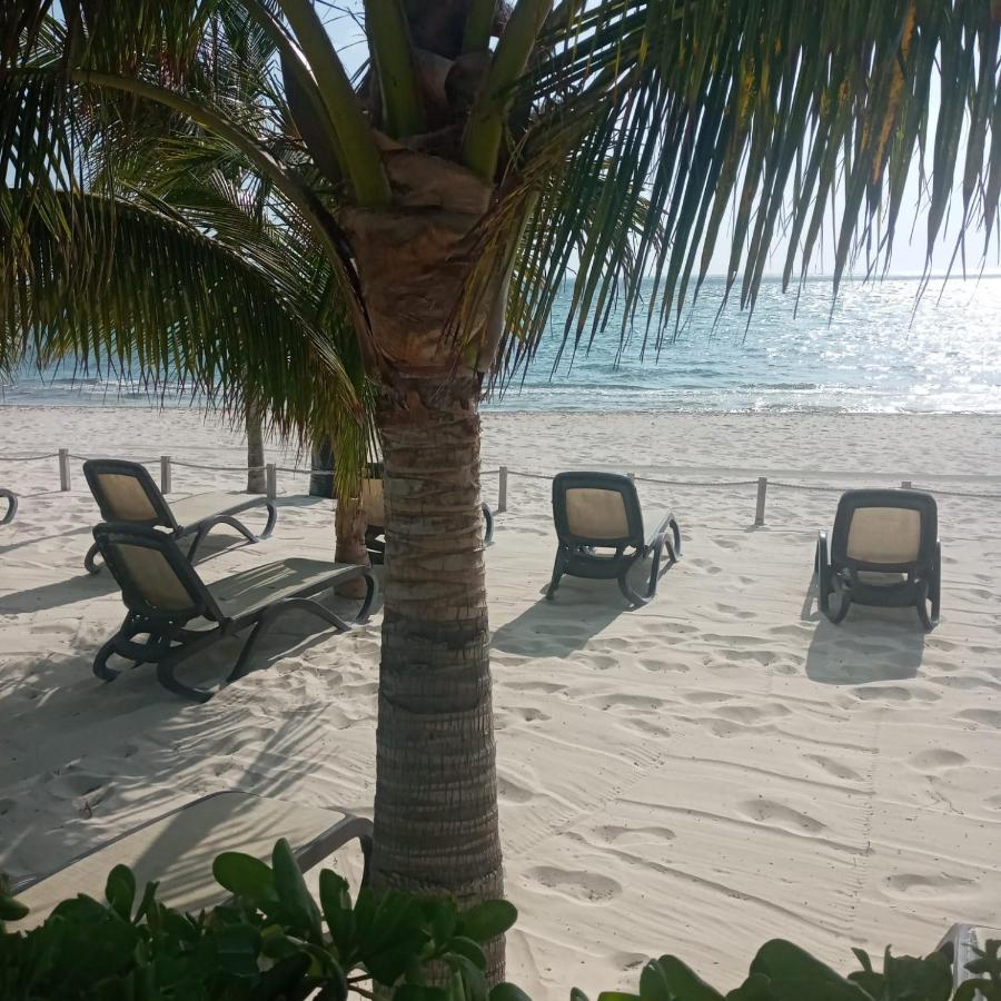 Swim The Caribbean & Work With A View Lägenhet Cancún Exteriör bild